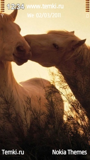 Лошадиный поцелуй