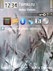 Природа для Nokia N75