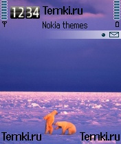Два медведя для Nokia N72