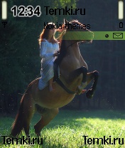 Девушка на лошади для Samsung SGH-Z600