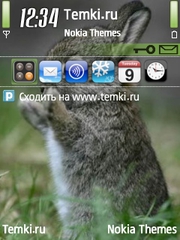Зайка для Nokia E71