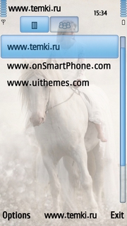 Скриншот №3 для темы Девушка на белом коне