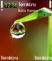 Капля росы для Nokia 6600