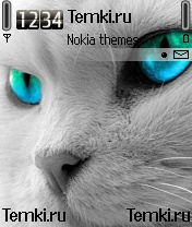 Яркоглазая кошка для Nokia 6680