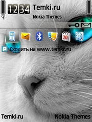 Яркоглазая кошка для Nokia N79