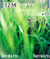 Киса в травке для Nokia N70