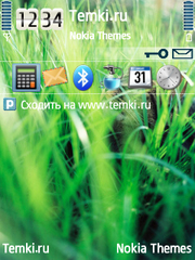 Киса в травке для Nokia 6110 Navigator