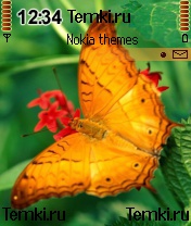 Бабочка на цветке для Nokia 6680
