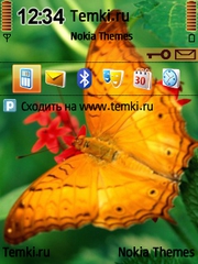 Бабочка на цветке для Nokia E63