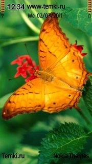 Бабочка на цветке для Nokia X6