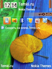 Листья на скамье для Nokia E66