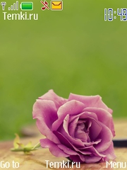 Сиреневый цветок для Nokia Asha 202