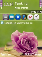 Сиреневый цветок для Nokia E66