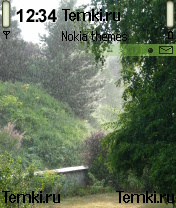 Дождливый парк для Nokia N72