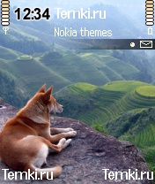 С вершины для Nokia N72
