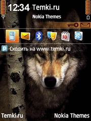 Волчек для Nokia N73