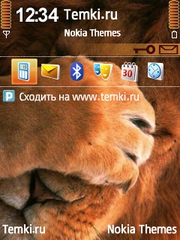 Facepalm для Nokia 6700 Slide