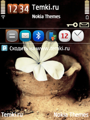 Белый цветок для Nokia 6220 classic