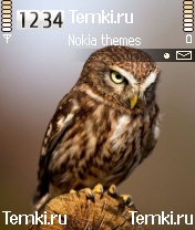 Птица для Nokia 3230
