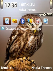 Птица для Nokia 6760 Slide