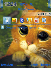 Кот из Шрека для Nokia 6700 Slide