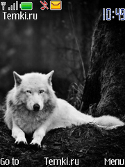 Серый волк для Nokia 3610 fold
