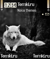 Серый волк для Nokia 6600