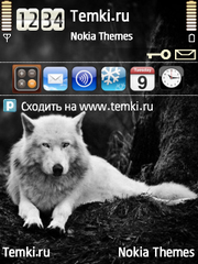 Серый волк для Nokia 6760 Slide