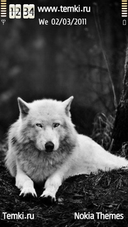 Серый волк для Nokia N97