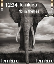 Слон для Nokia N72