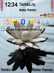 Бриллиантовая лилия для Nokia E63