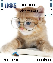 Кот за чтением для Nokia N72
