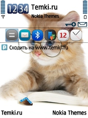 Кот за чтением для Nokia 6790 Slide