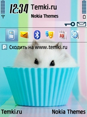 Мышка для Nokia 6790 Surge