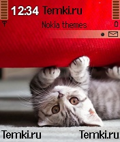 Котенок для Nokia N90