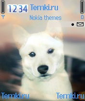 Собака для Nokia N72