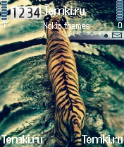 Тигр в воде для Nokia 3230