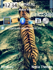 Тигр в воде для Nokia 5630 XpressMusic