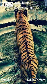 Тигр в воде для Nokia 5800