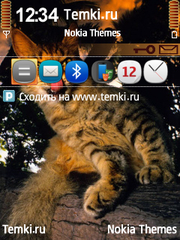 Кошка для Nokia E71