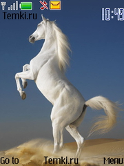 Скриншот №1 для темы Белый конь