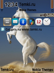 Белый конь для Samsung SGH-i400