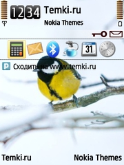Синичка для Nokia N93