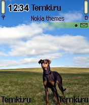 Друг человека для Nokia N90