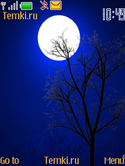Дерево в ночи для Nokia 3710 fold