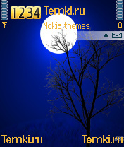 Скриншот №1 для темы Дерево в ночи