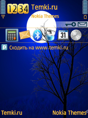 Дерево в ночи для Nokia 6700 Slide