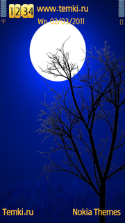 Дерево в ночи для Nokia N97