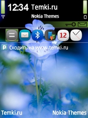 Голубой цветок для Nokia N75