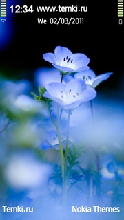 Голубой цветок для Nokia 5228